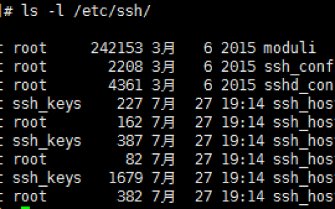 Linux系统上的命令使用格式与12个常用命令介绍